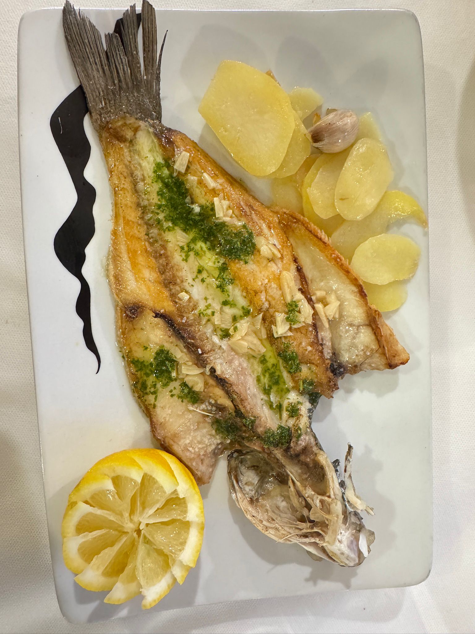 IMG-20251229-WA0050_1